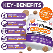 Dog Multivitamin Chewable Dog Vitamins And Supplements With Glucosamine 170 Chews Hip & Joint Immune Support Skin & Coat Gut & Heart Health Senior & Puppy Multivitamin Supplement