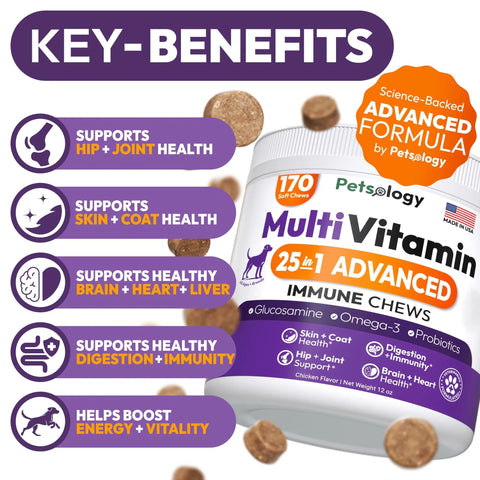 Dog Multivitamin Chewable Dog Vitamins And Supplements With Glucosamine 170 Chews Hip & Joint Immune Support Skin & Coat Gut & Heart Health Senior & Puppy Multivitamin Supplement