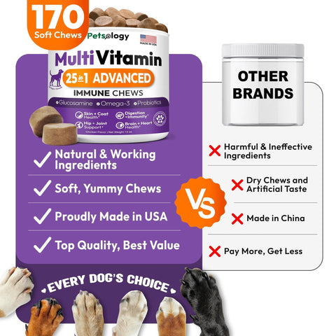 Dog Multivitamin Chewable Dog Vitamins And Supplements With Glucosamine 170 Chews Hip & Joint Immune Support Skin & Coat Gut & Heart Health Senior & Puppy Multivitamin Supplement