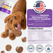 Dog Multivitamin Chewable Dog Vitamins And Supplements With Glucosamine 170 Chews Hip & Joint Immune Support Skin & Coat Gut & Heart Health Senior & Puppy Multivitamin Supplement