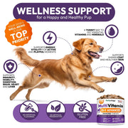 Dog Multivitamin Chewable Dog Vitamins And Supplements With Glucosamine 170 Chews Hip & Joint Immune Support Skin & Coat Gut & Heart Health Senior & Puppy Multivitamin Supplement