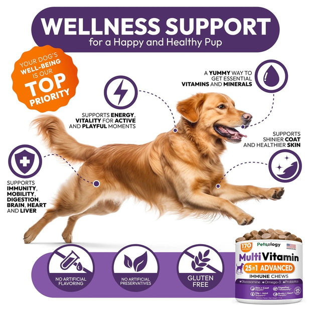 Dog Multivitamin Chewable Dog Vitamins And Supplements With Glucosamine 170 Chews Hip & Joint Immune Support Skin & Coat Gut & Heart Health Senior & Puppy Multivitamin Supplement